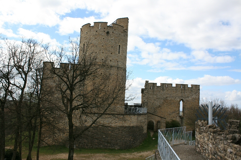 Marche Nordique - 21/02/26 - Sortie Nature N°6