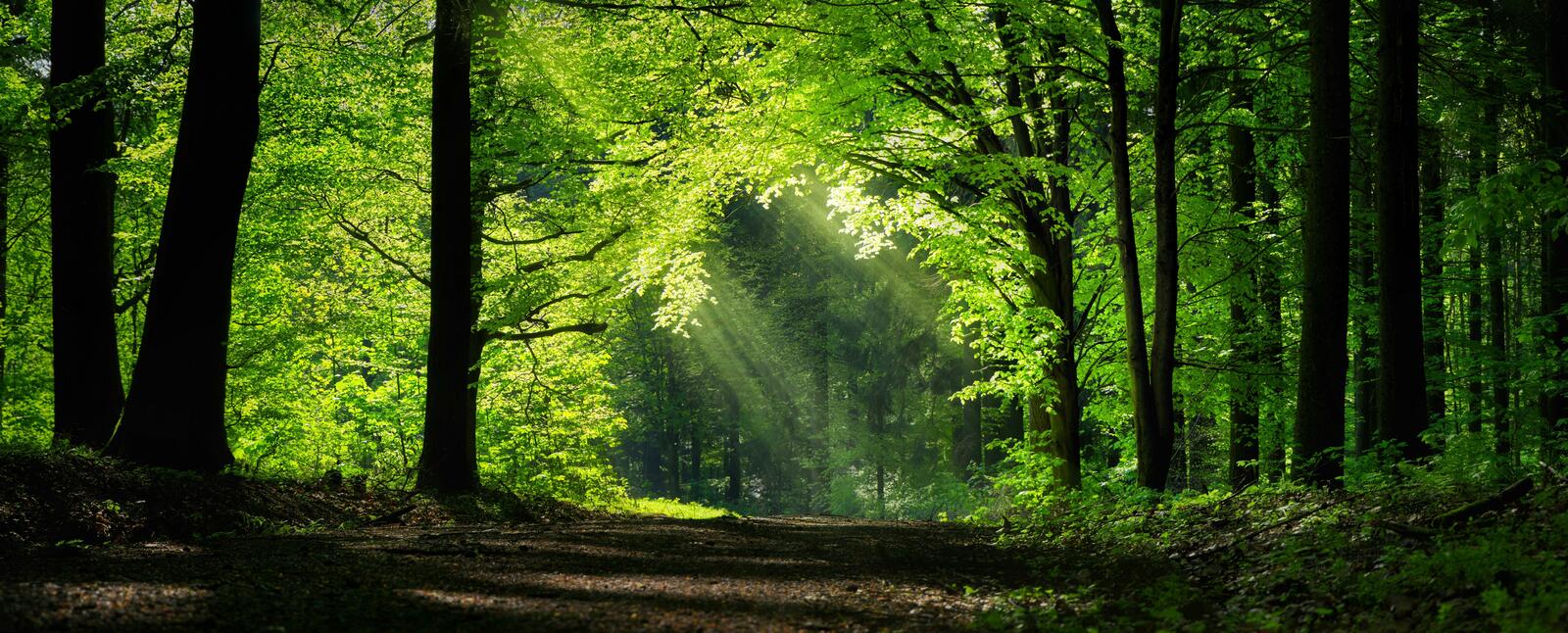 Marche Nordique - 25/04/26 - Sortie Nature N°8
