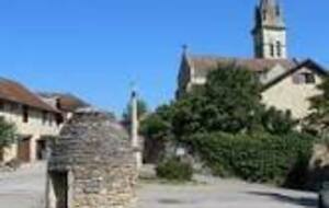 Marche Nordique - 31/01/26 - Sortie Nature N°5