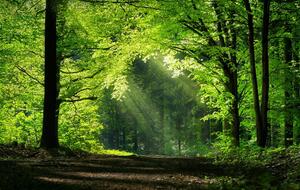 Marche Nordique - 25/04/26 - Sortie Nature N°8