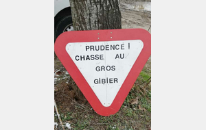Pas d'inquiétude, on n'avait que des petites cailles et des perdreaux de l'année 😜