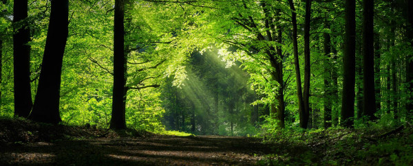 Marche Nordique - 25/04/26 - Sortie Nature N°8
