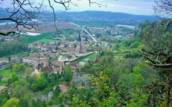 Marche Nordique – 09/05/26 - Sortie Nature N°9