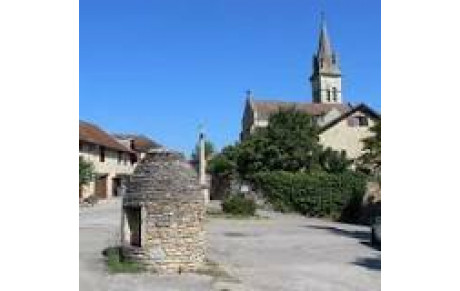 Marche Nordique - 31/01/26 - Sortie Nature N°5