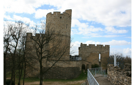 Marche Nordique - 21/02/26 - Sortie Nature N°6