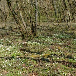 Marche Nordique - Sortie Nature N°9