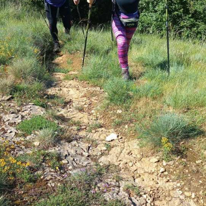 Marche Nordique - Sortie Nature N°9