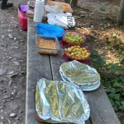 Marche Nordique - Sortie Nature N°1 - Forêt de Vallin - 19/09/2026